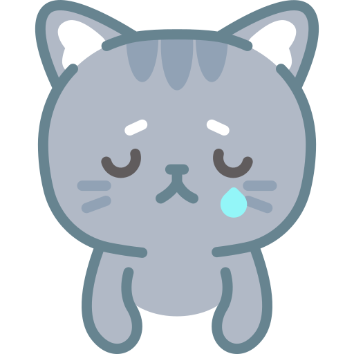 Kitty